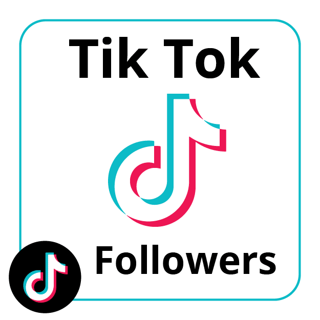 TikTok Followers